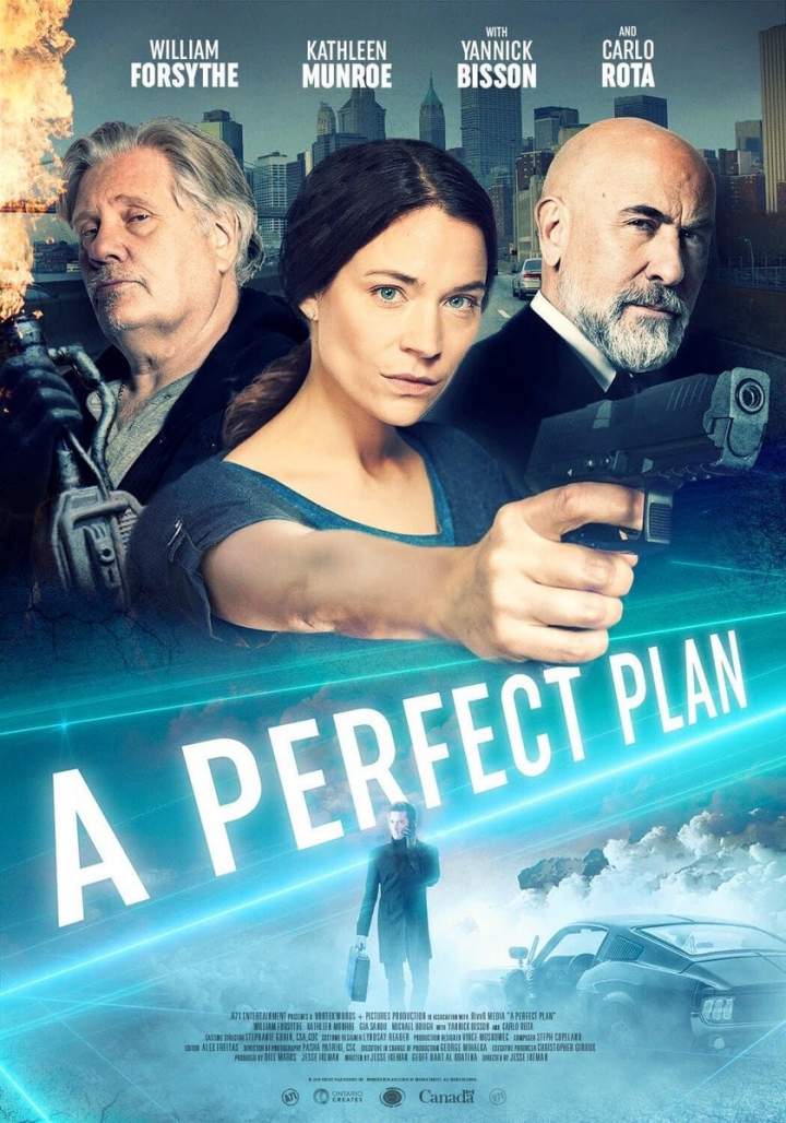 A Perfect Plan (2020) Download awafim.store