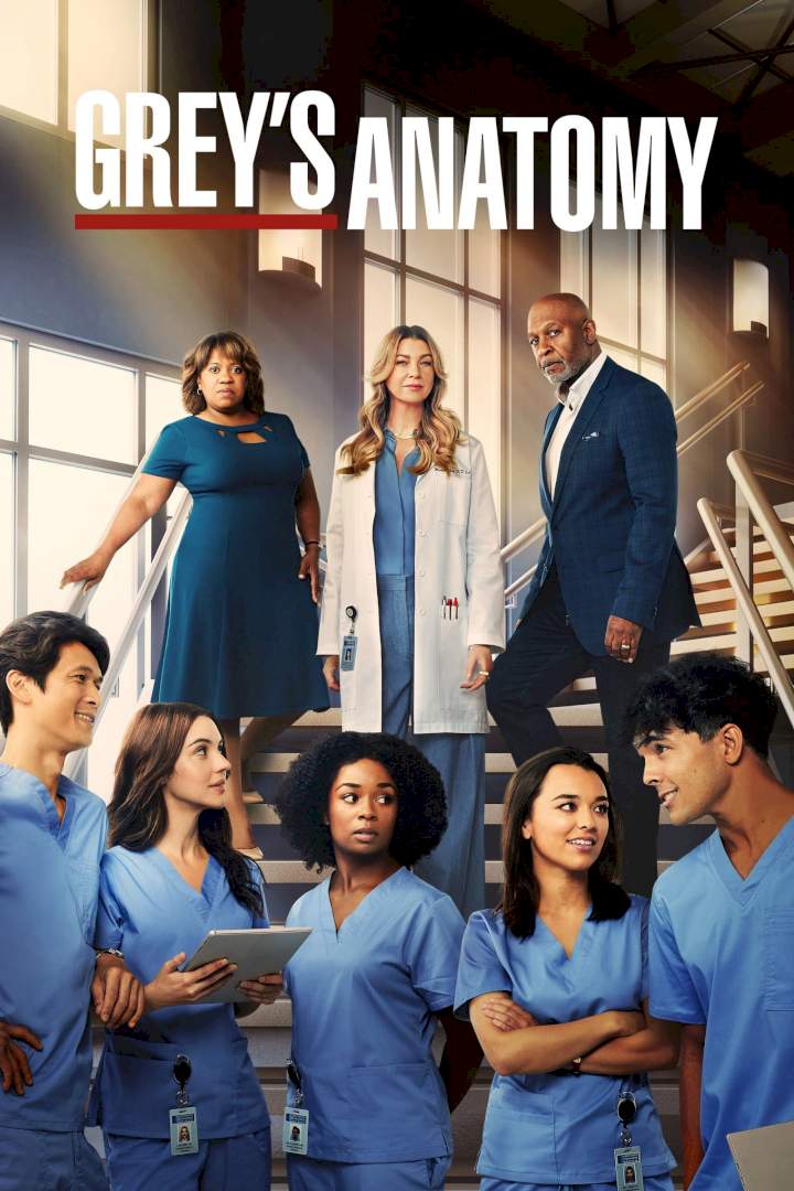 Grey's Anatomy (Season 19 Episode 1-20) Download Netnaija